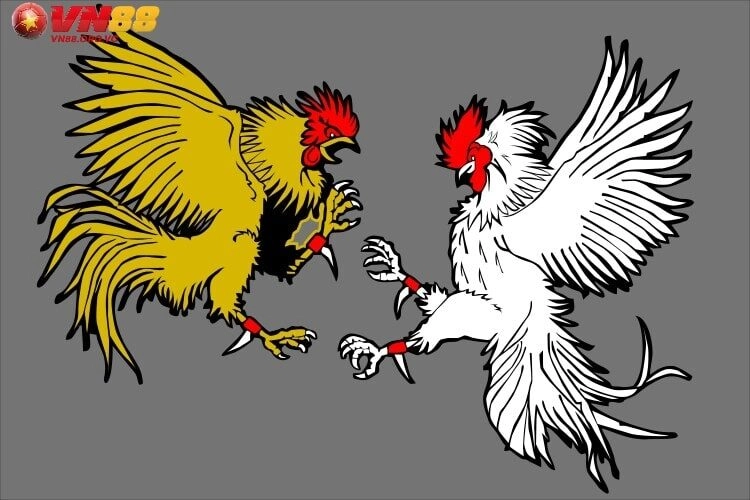 Trang Chủ VN88 địa chỉ cá cược đá gà online uy tín hàng đầu